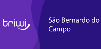 Vivone Negocios Digitais – Ltda Null Sao Bernardo do Campo: A Trusted Partner for Digital Business Solutions